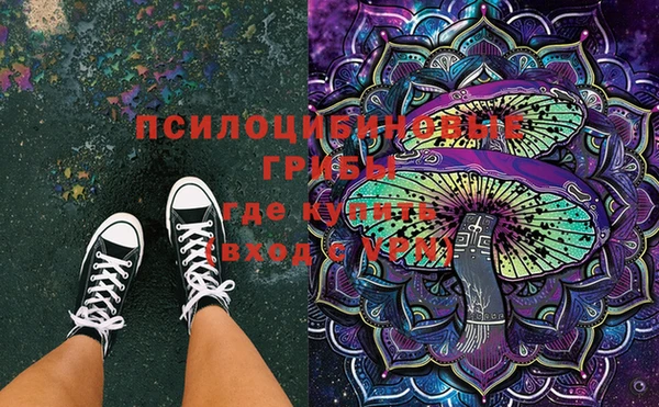 ECSTASY Новозыбков