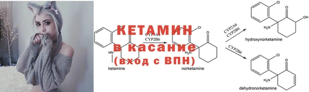 дурь Новодвинск