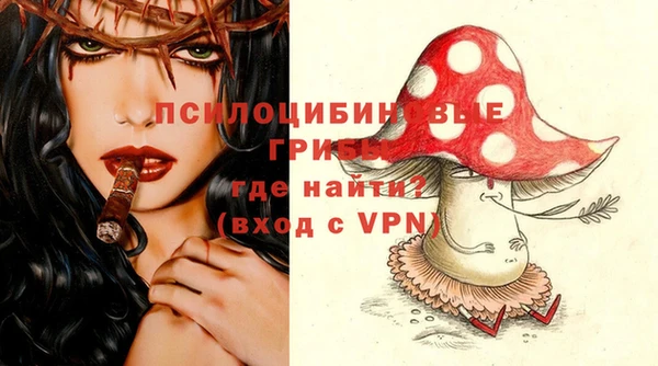 винт Бронницы