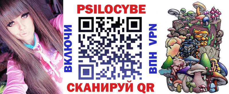 купить наркоту  Вилючинск  Галлюциногенные грибы Cubensis 
