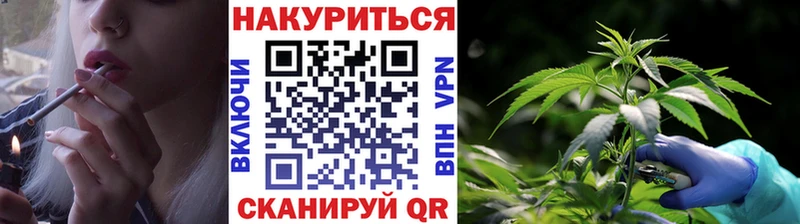 купить закладку  Вилючинск  Бошки марихуана сатива 